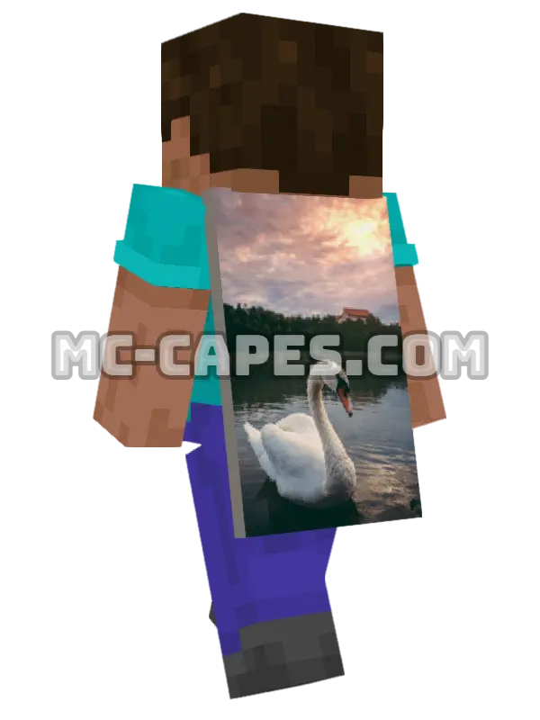 Swan Minecraft cape worn on a player, seen from behind