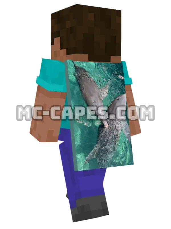 Swimming Dolphins Minecraft cape worn on a player, seen from behind