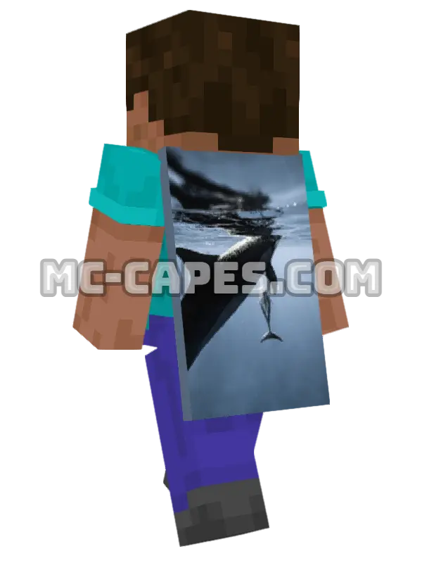 Swimming Dolphins Minecraft cape worn on a player, seen from behind