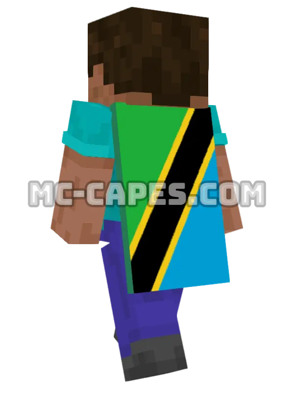 Tanzania Flag Minecraft cape worn on a player, seen from behind