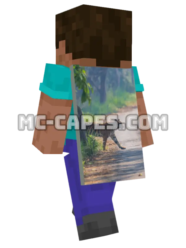 Tiger Minecraft cape worn on a player, seen from behind