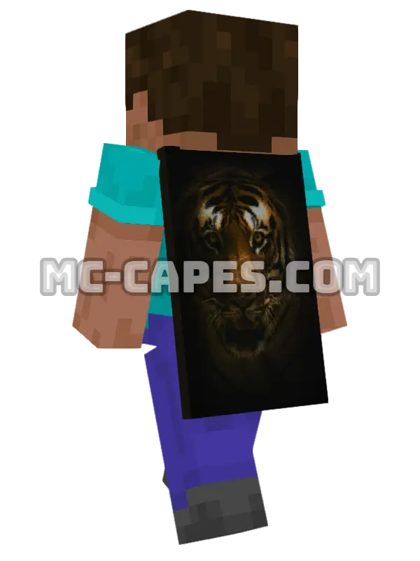 Tiger Face Minecraft cape worn on a player, seen from behind