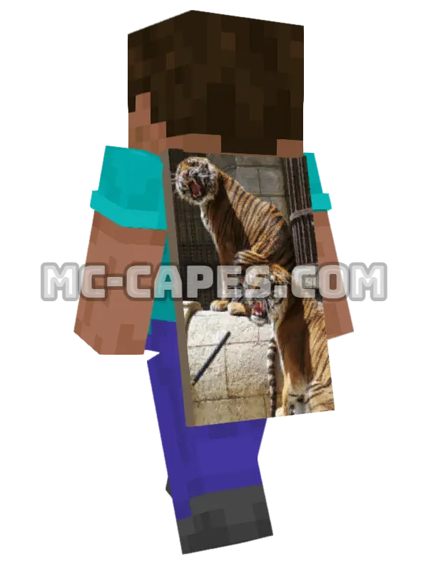 Tiger Pair Minecraft cape worn on a player, seen from behind