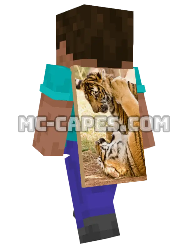 Tigers Playing Minecraft cape worn on a player, seen from behind
