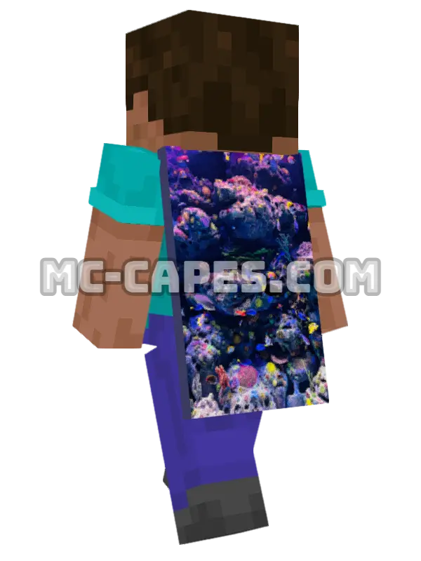 Tropical Fish Reef Minecraft cape worn on a player, seen from behind