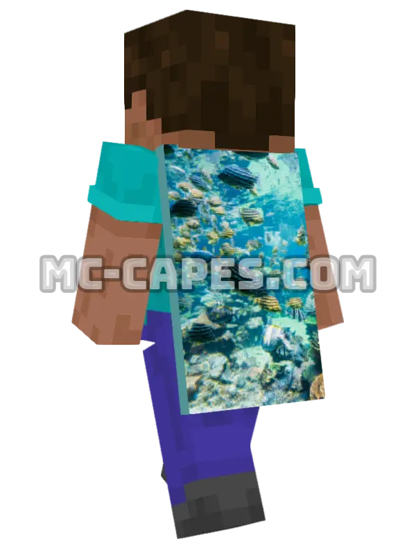 Tropical Fish Reef Minecraft cape worn on a player, seen from behind