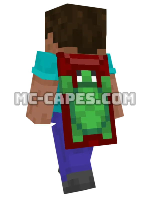 Turtle Minecraft cape worn on a player, seen from behind