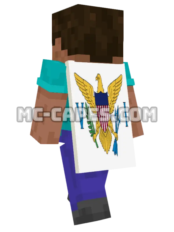 United States Virgin Islands Flag Minecraft cape worn on a player, seen from behind