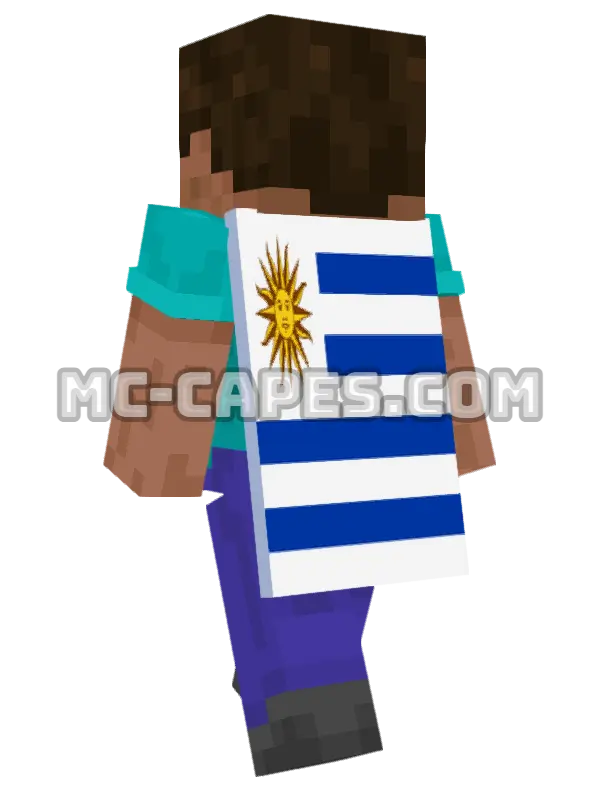 Uruguay Flag Minecraft cape worn on a player, seen from behind