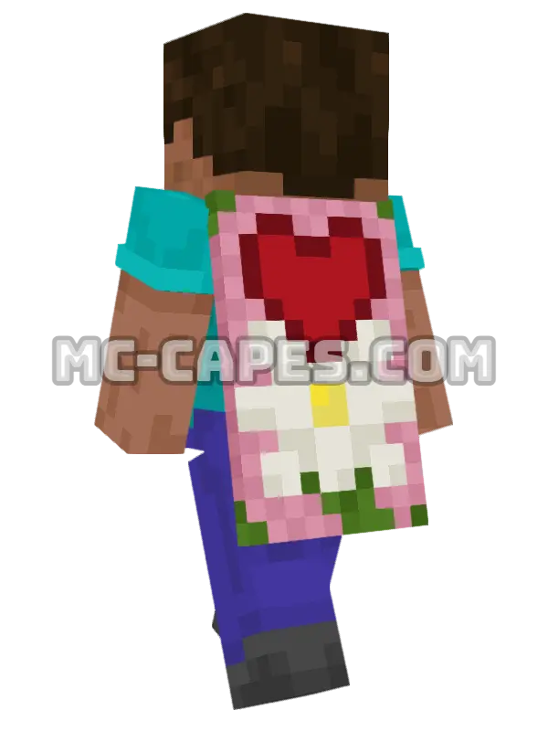 Valentine Minecraft cape worn on a player, seen from behind