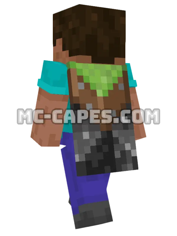 Vanilla Minecraft cape worn on a player, seen from behind