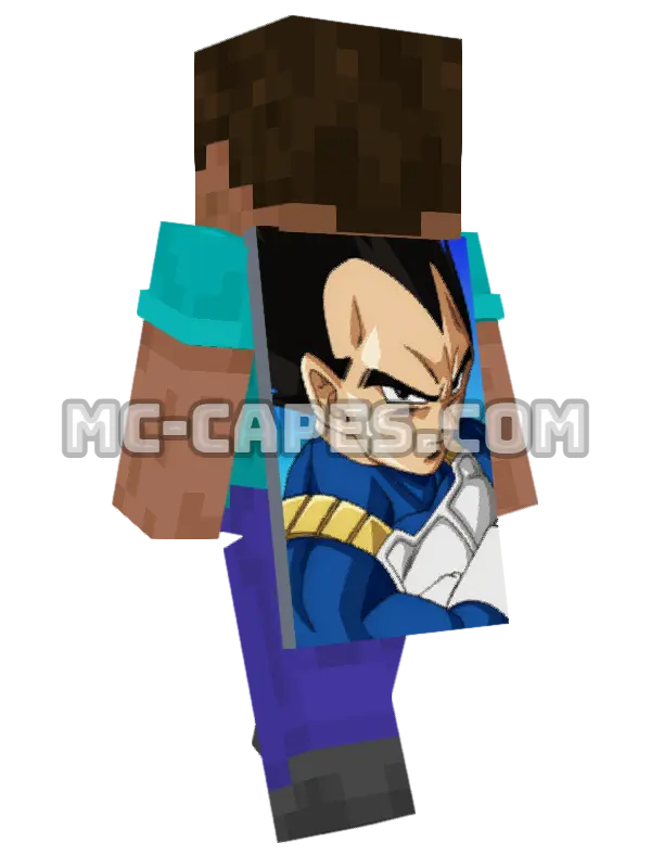 Vegeta Minecraft cape worn on a player, seen from behind