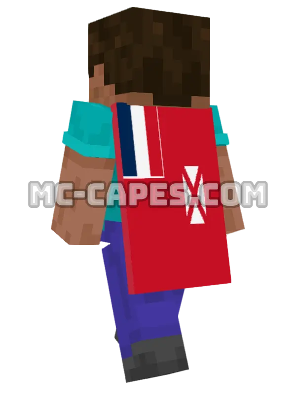 Wallis and Futuna Flag Minecraft cape worn on a player, seen from behind