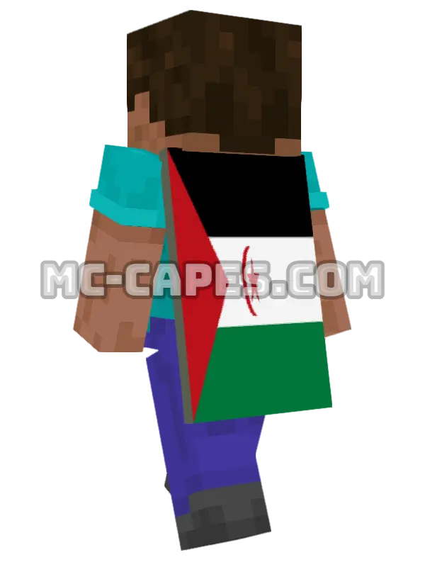 Western Sahara Flag Minecraft cape worn on a player, seen from behind