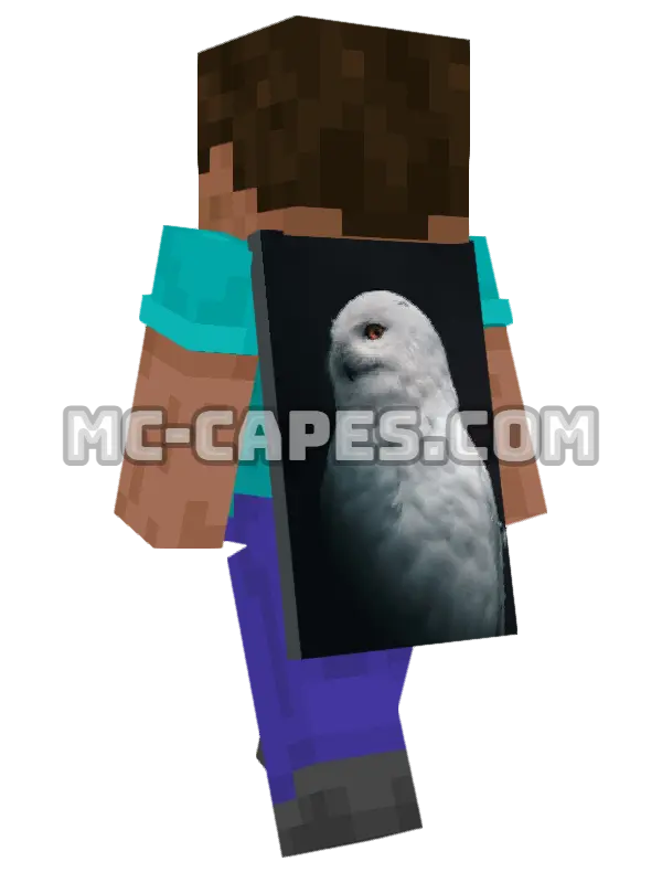 White Owl Minecraft cape worn on a player, seen from behind