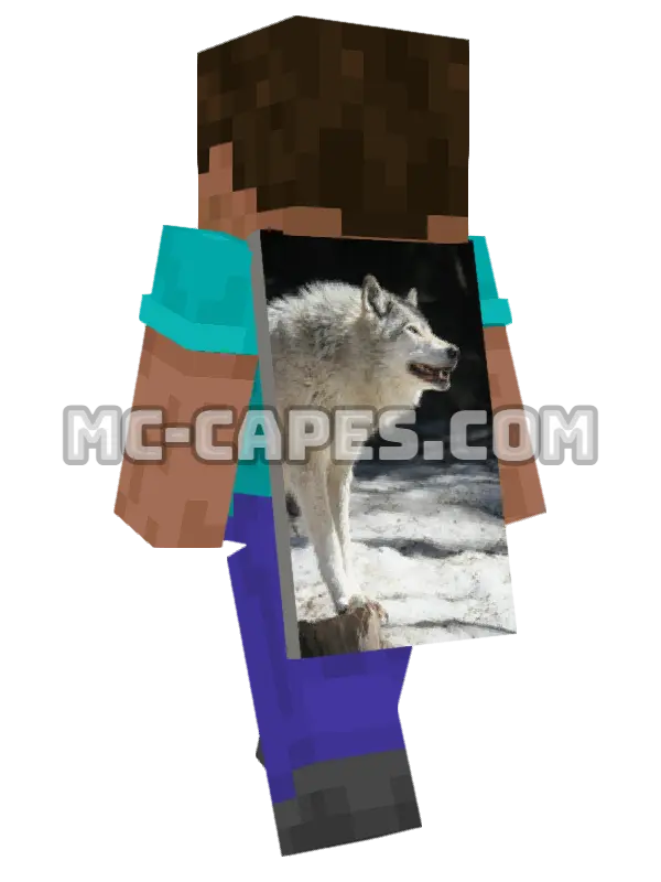 White Wolf Minecraft cape worn on a player, seen from behind