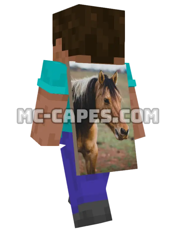 Wild Horse Minecraft cape worn on a player, seen from behind