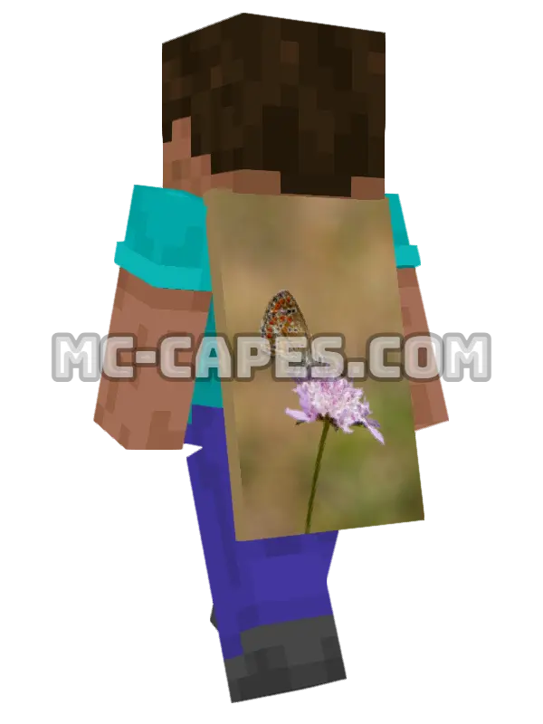 Wildflower Butterfly Minecraft cape worn on a player, seen from behind