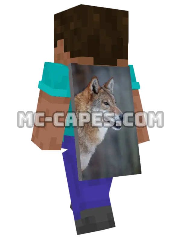 Winter Wolf Minecraft cape worn on a player, seen from behind