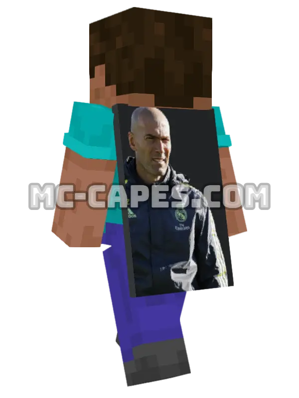 Zinedine Zidane Minecraft cape worn on a player, seen from behind