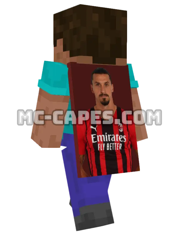 Zlatan Ibrahimovic Minecraft cape worn on a player, seen from behind
