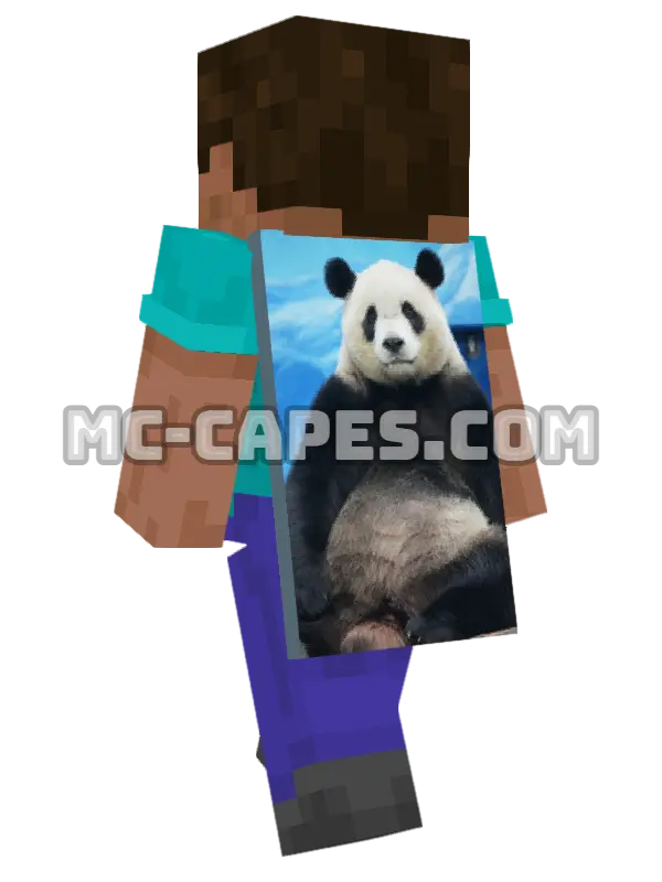 Zoo Panda Minecraft cape worn on a player, seen from behind